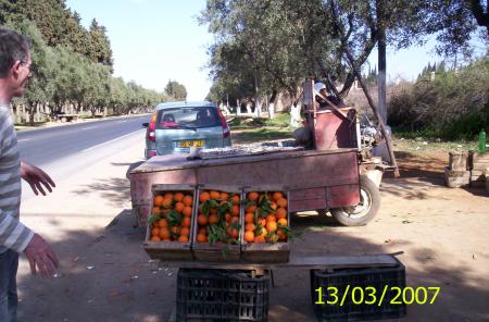 Route de Meknes à Fes